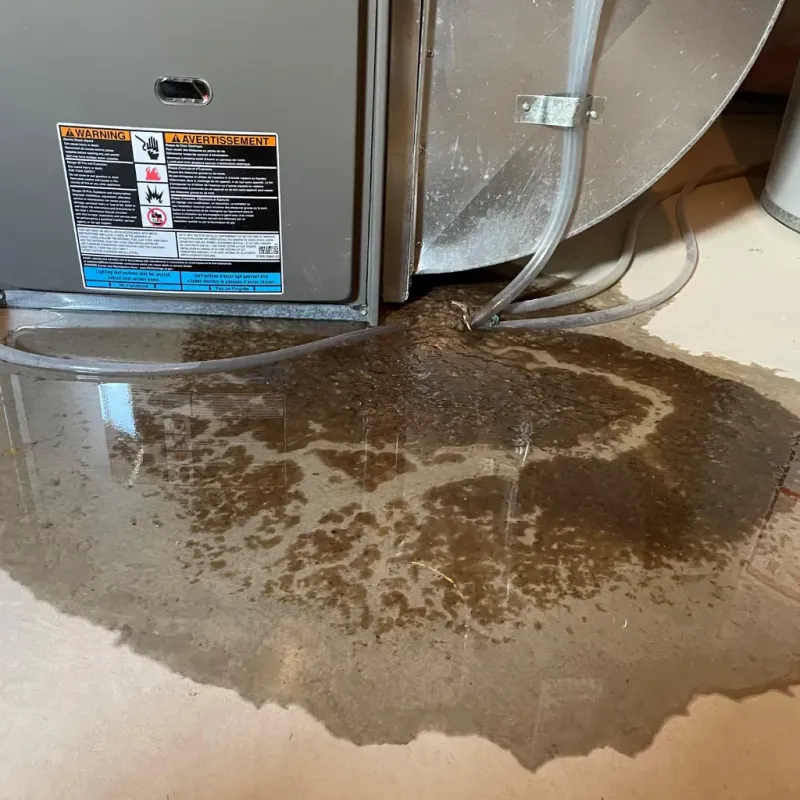Appliance Leak Cleanup in Waikapu, HI