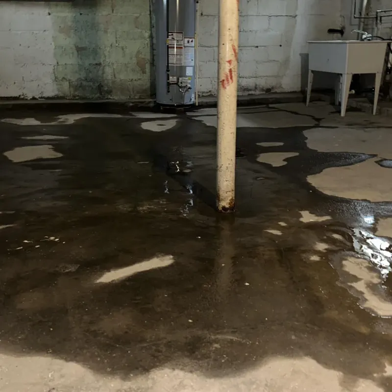 Emergency Water Extraction And Removal in Waikapu, HI